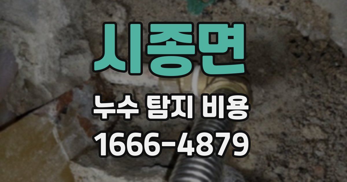 시종면 누수 탐지 비용