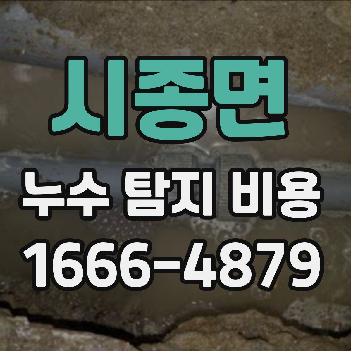 시종면 누수 탐지 비용