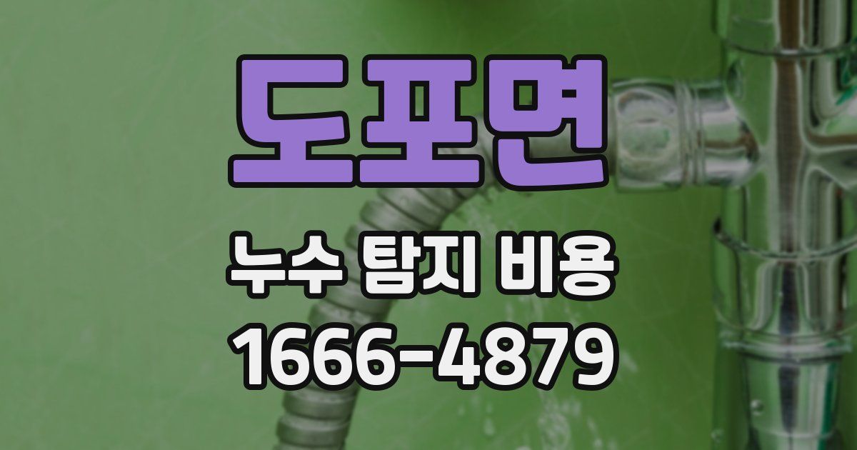 도포면 누수 탐지 비용