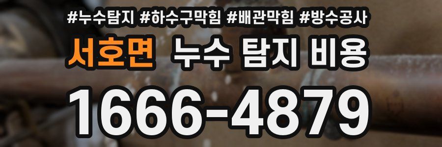 서호면 누수 탐지 비용