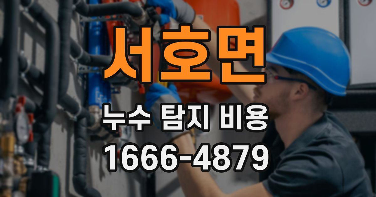 서호면 누수 탐지 비용