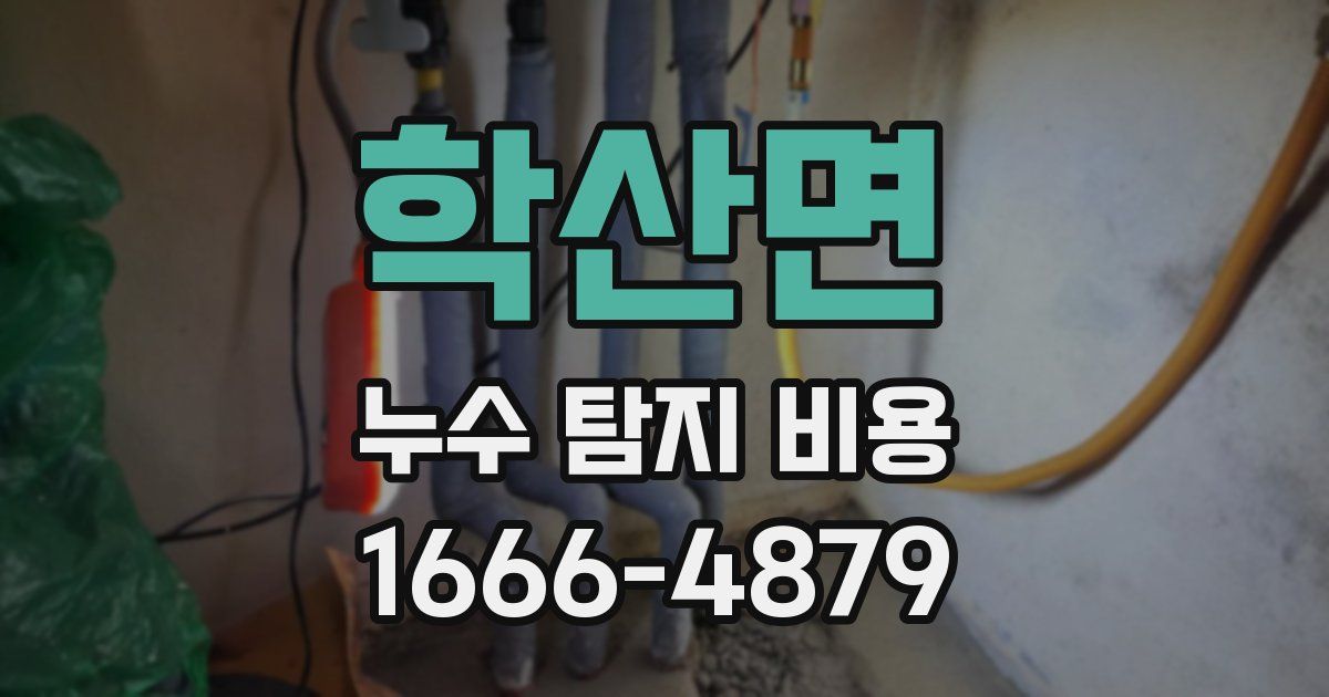 학산면 누수 탐지 비용