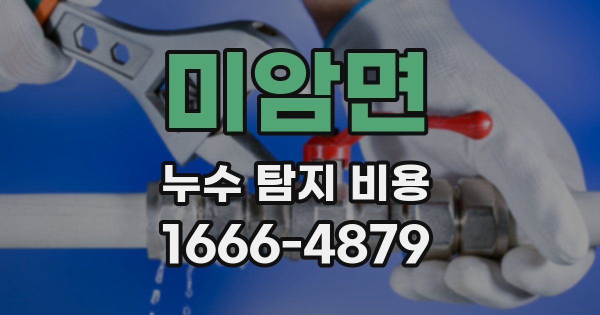 미암면 누수 탐지 비용