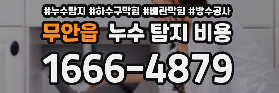 무안읍 누수 탐지 비용