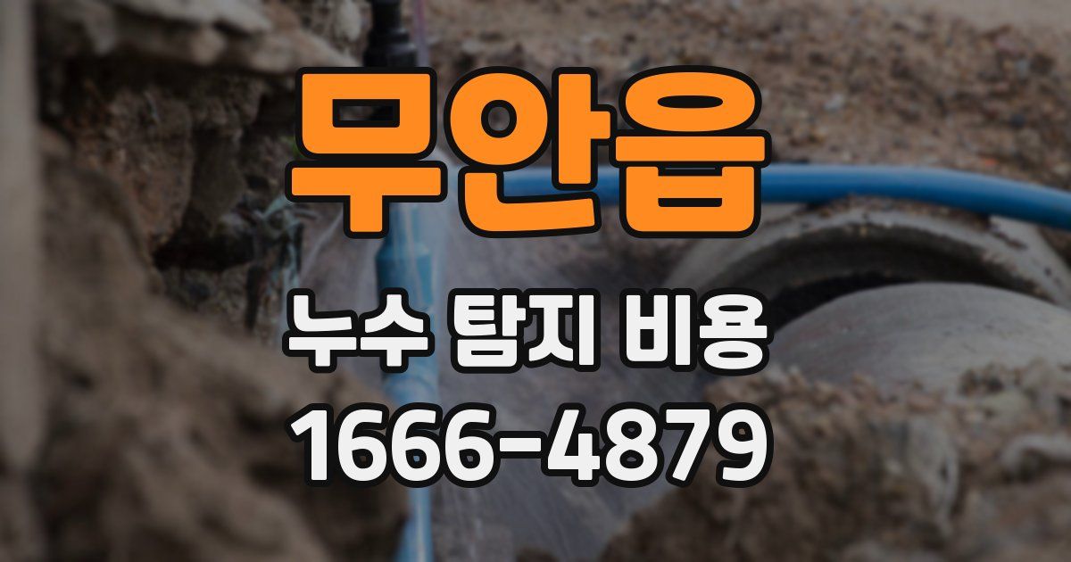 무안읍 누수 탐지 비용