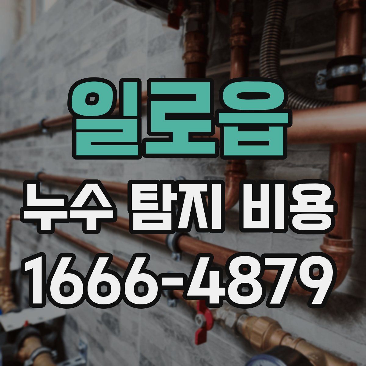 일로읍 누수 탐지 비용