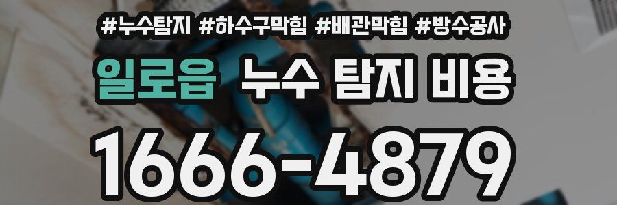 일로읍 누수 탐지 비용