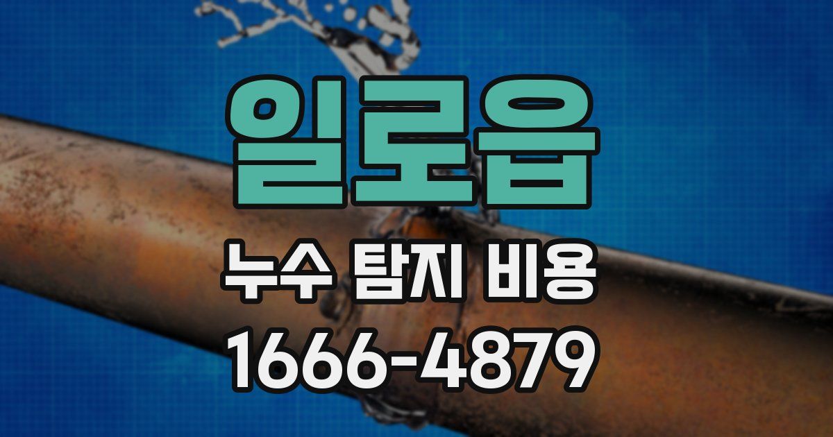 일로읍 누수 탐지 비용