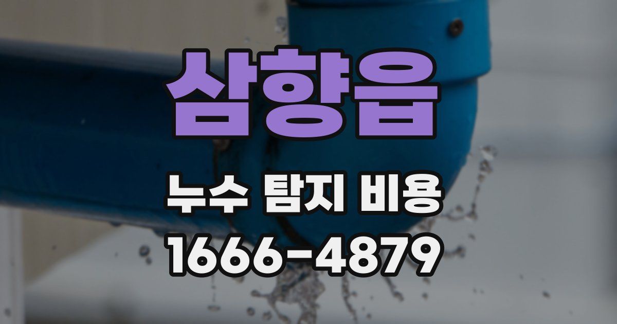 삼향읍 누수 탐지 비용