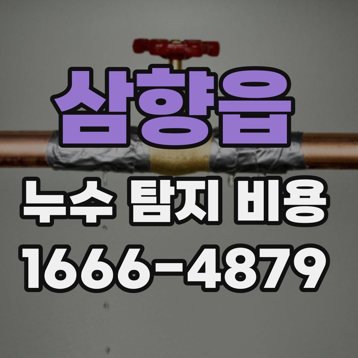 삼향읍 누수 탐지 비용