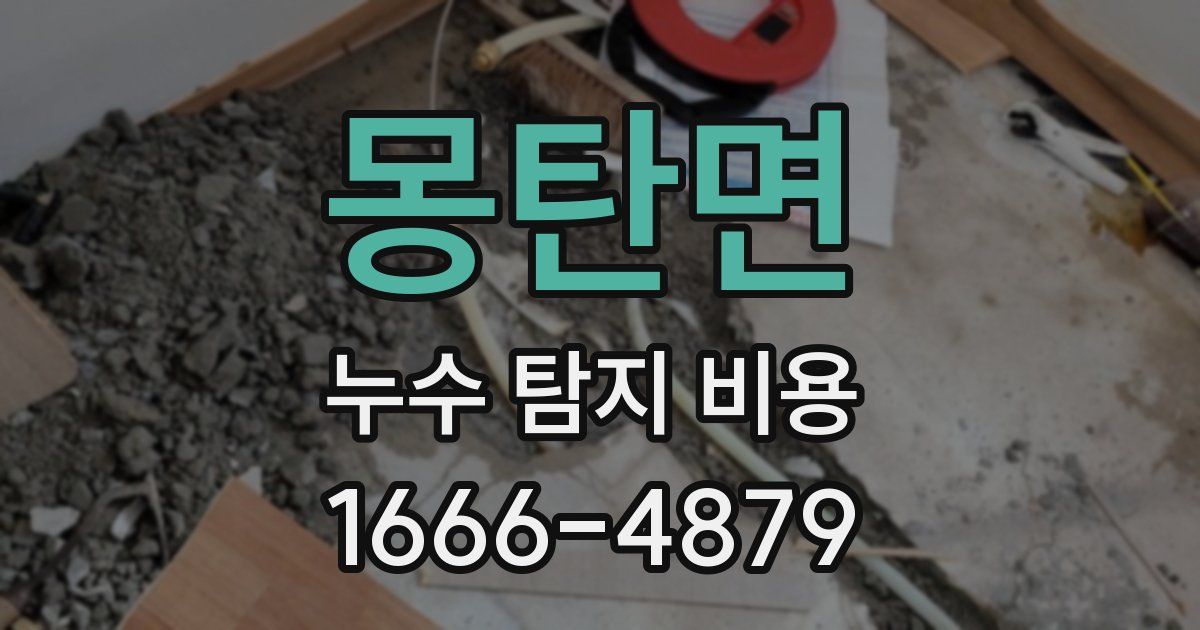 몽탄면 누수 탐지 비용