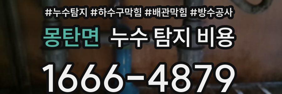 몽탄면 누수 탐지 비용
