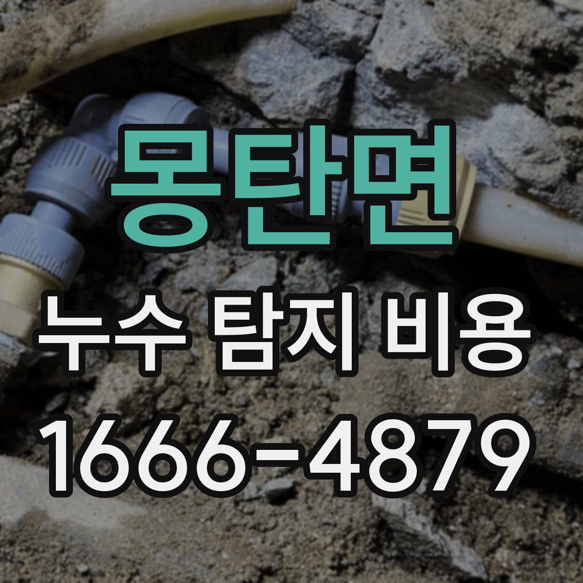 몽탄면 누수 탐지 비용