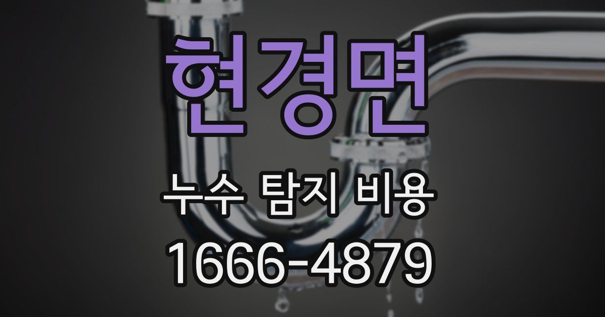 현경면 누수 탐지 비용