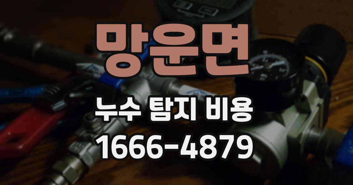 망운면 누수 탐지 비용