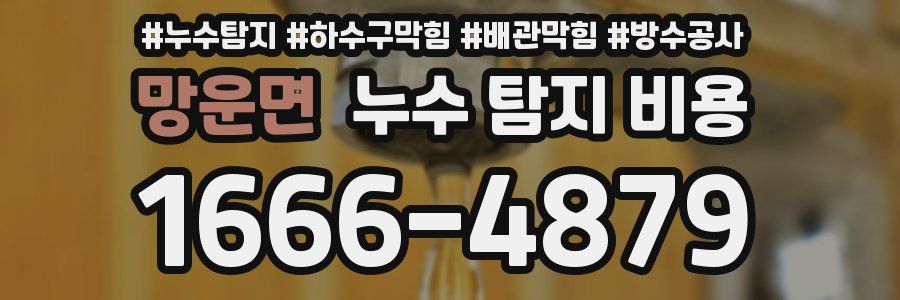 망운면 누수 탐지 비용