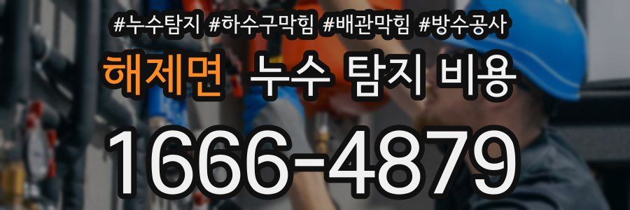 해제면 누수 탐지 비용
