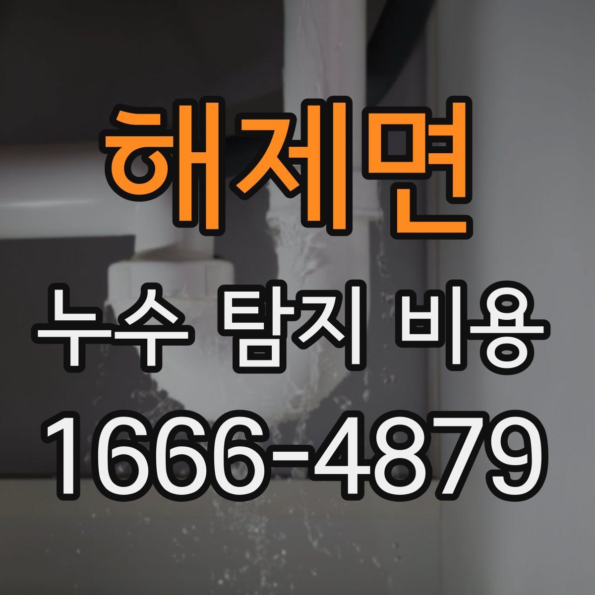 해제면 누수 탐지 비용