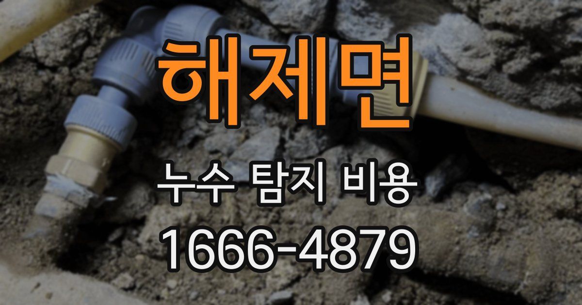 해제면 누수 탐지 비용