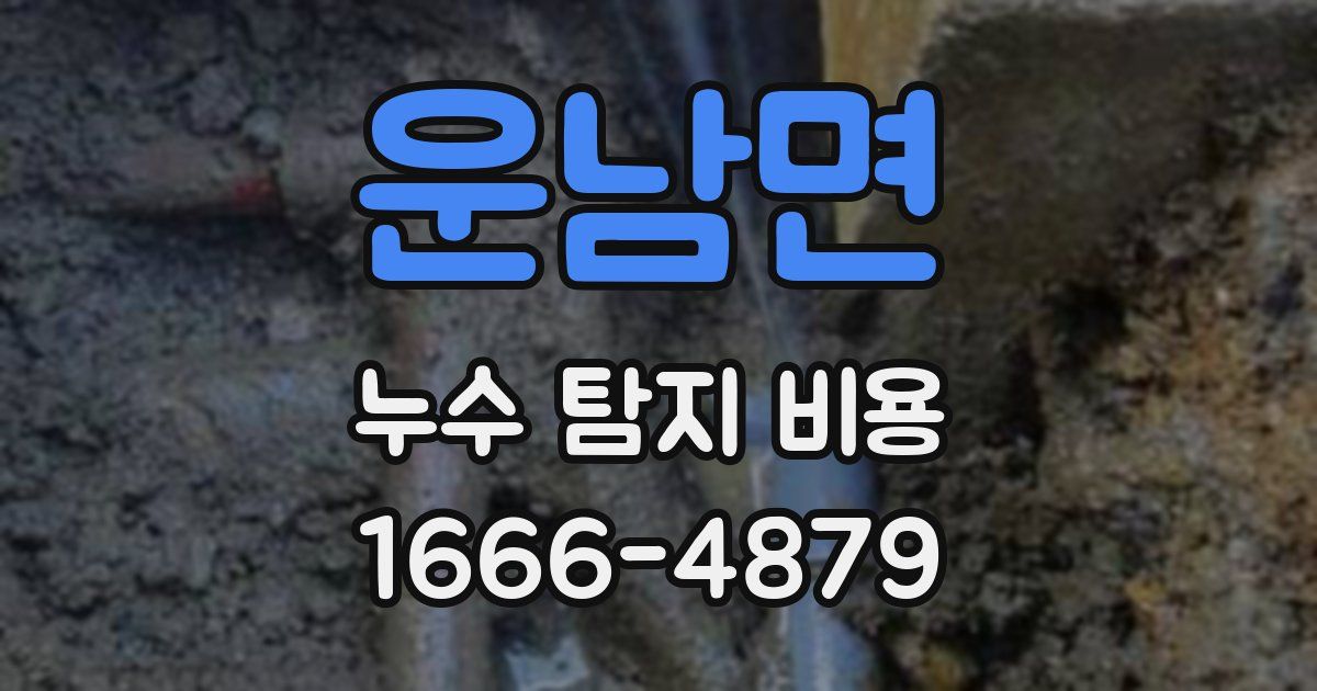 운남면 누수 탐지 비용