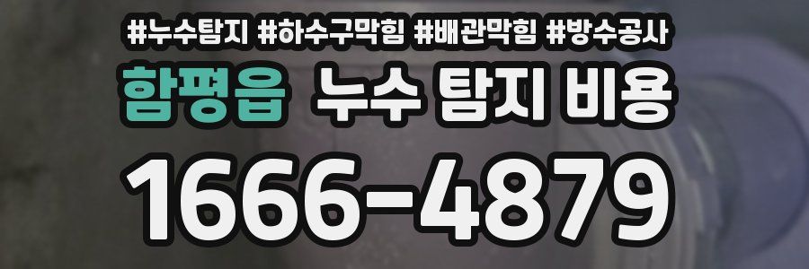 함평읍 누수 탐지 비용