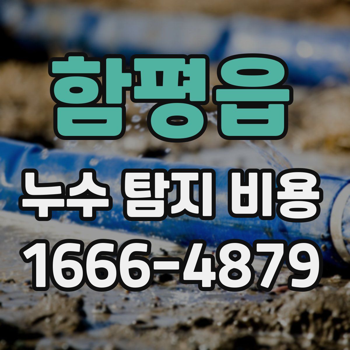 함평읍 누수 탐지 비용