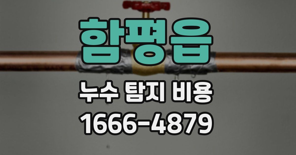 함평읍 누수 탐지 비용
