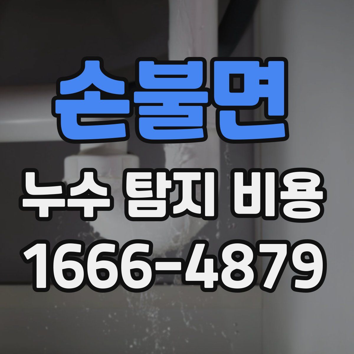 손불면 누수 탐지 비용