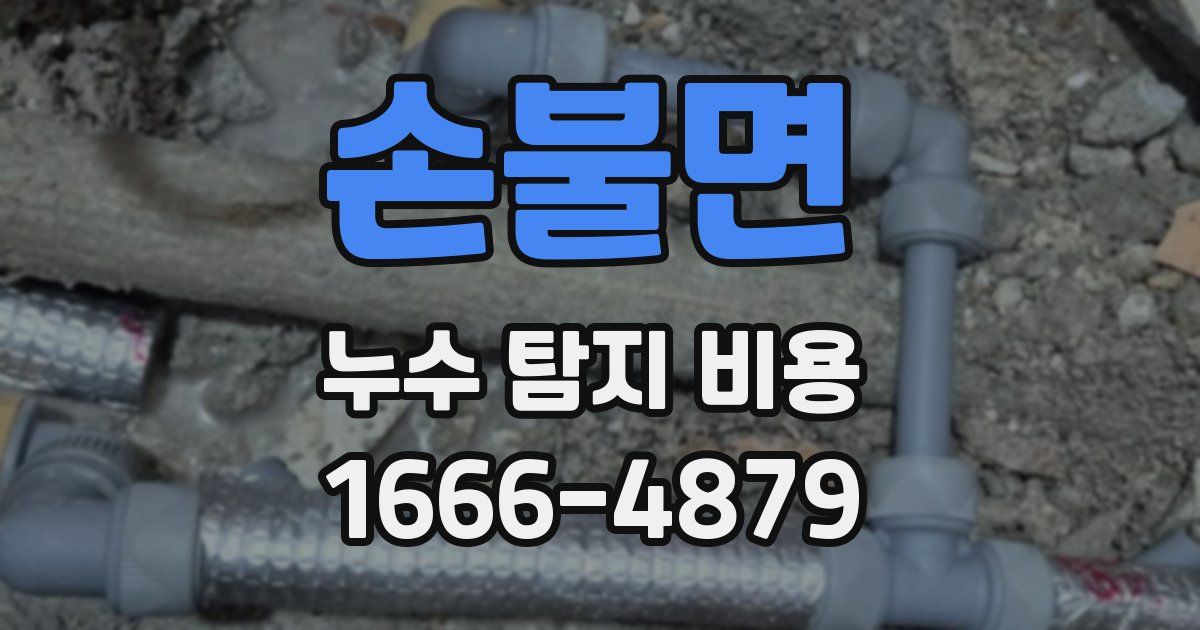 손불면 누수 탐지 비용