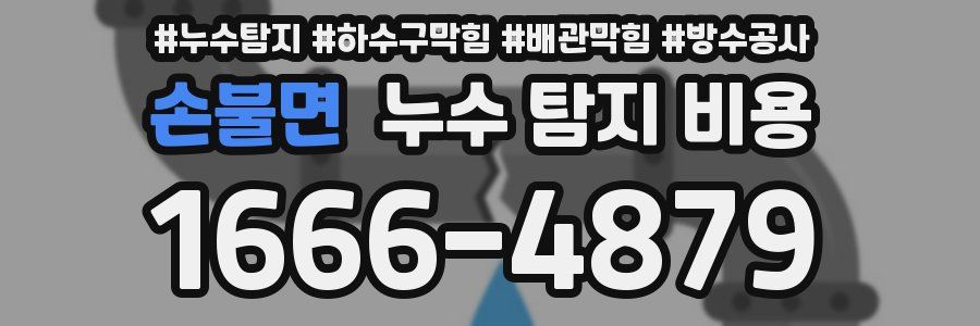 손불면 누수 탐지 비용