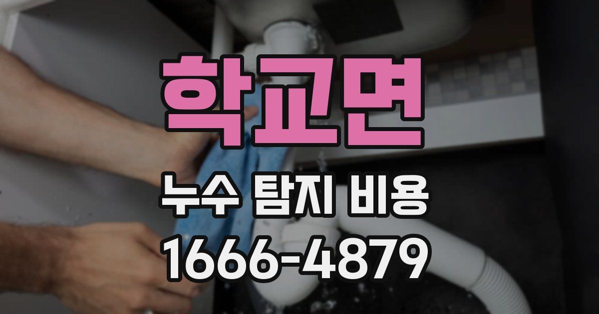학교면 누수 탐지 비용