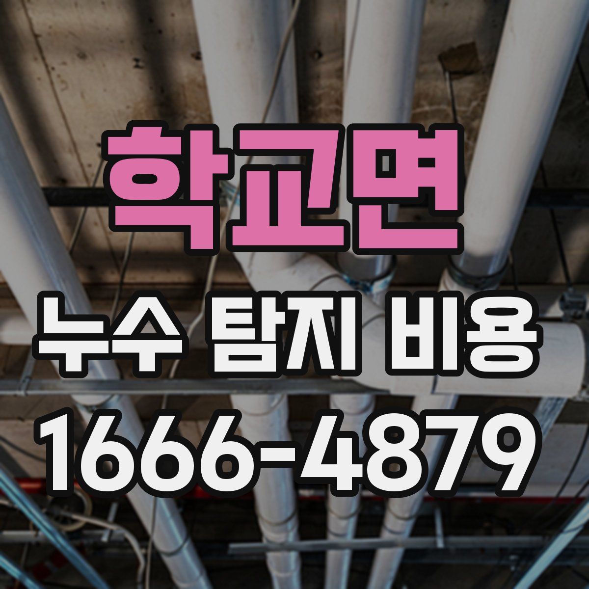 학교면 누수 탐지 비용