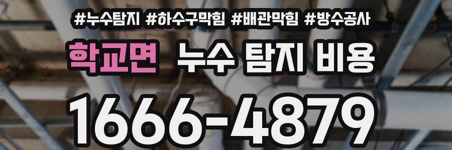 학교면 누수 탐지 비용