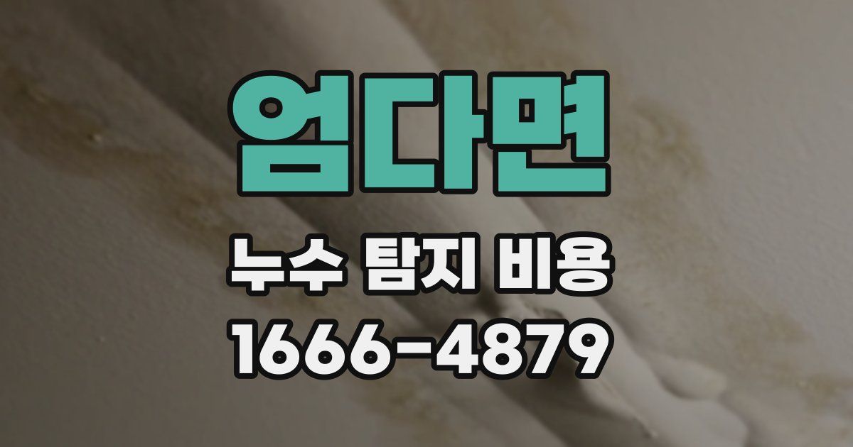 엄다면 누수 탐지 비용