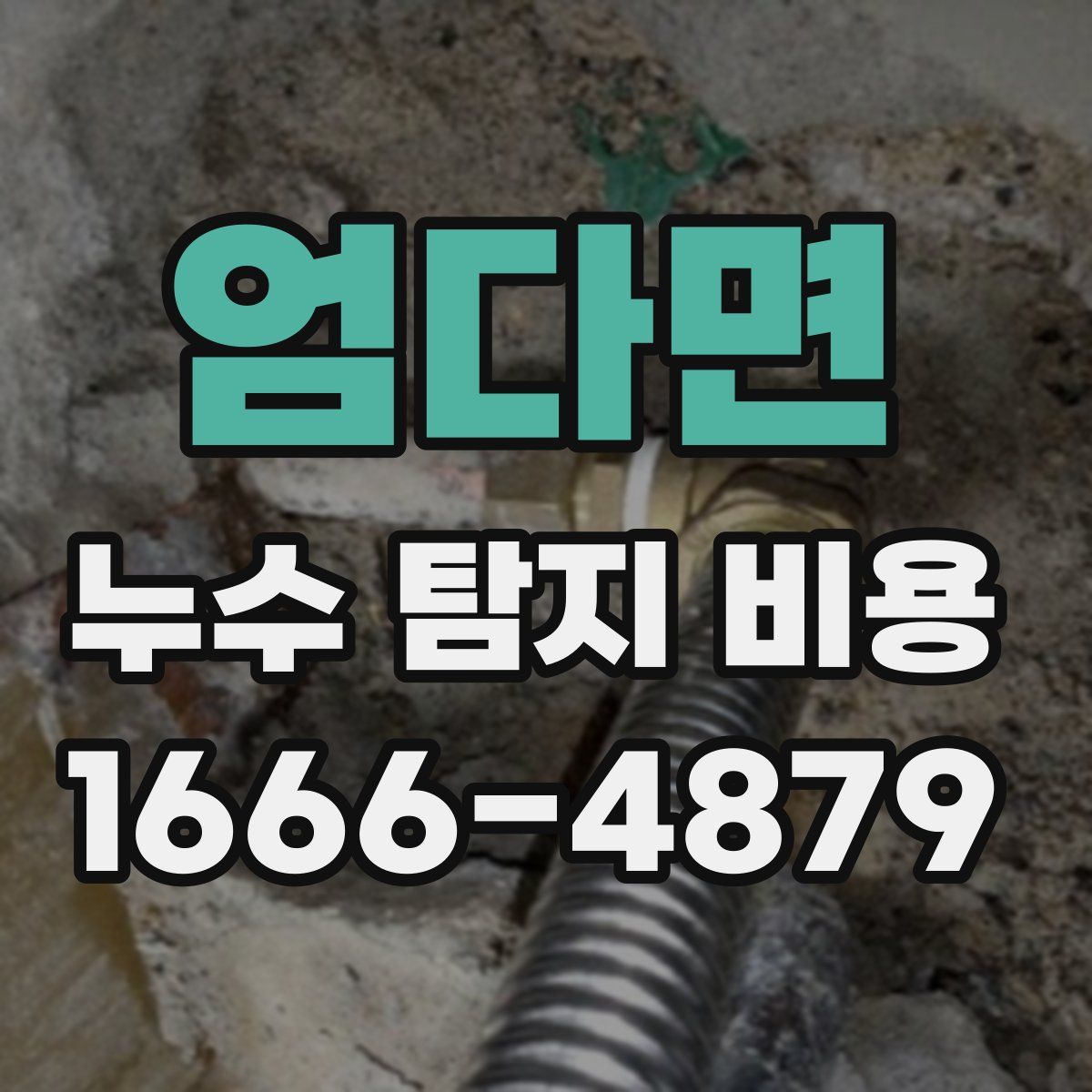 엄다면 누수 탐지 비용