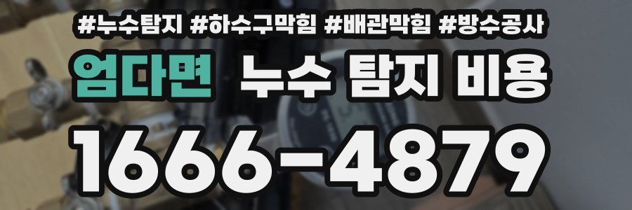 엄다면 누수 탐지 비용