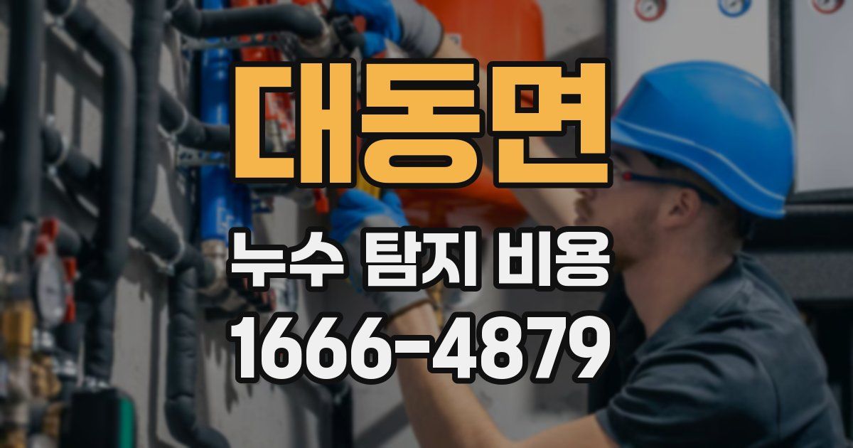 대동면 누수 탐지 비용