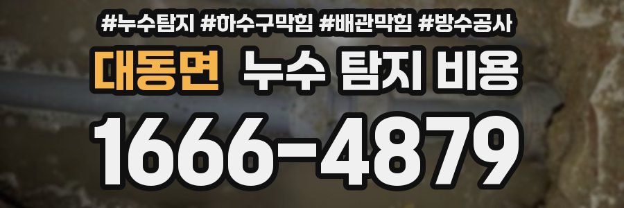 대동면 누수 탐지 비용