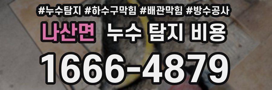 나산면 누수 탐지 비용