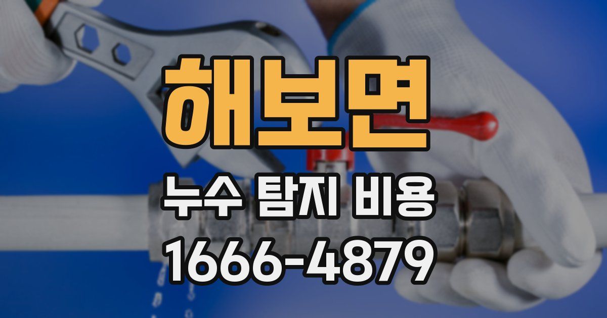 해보면 누수 탐지 비용