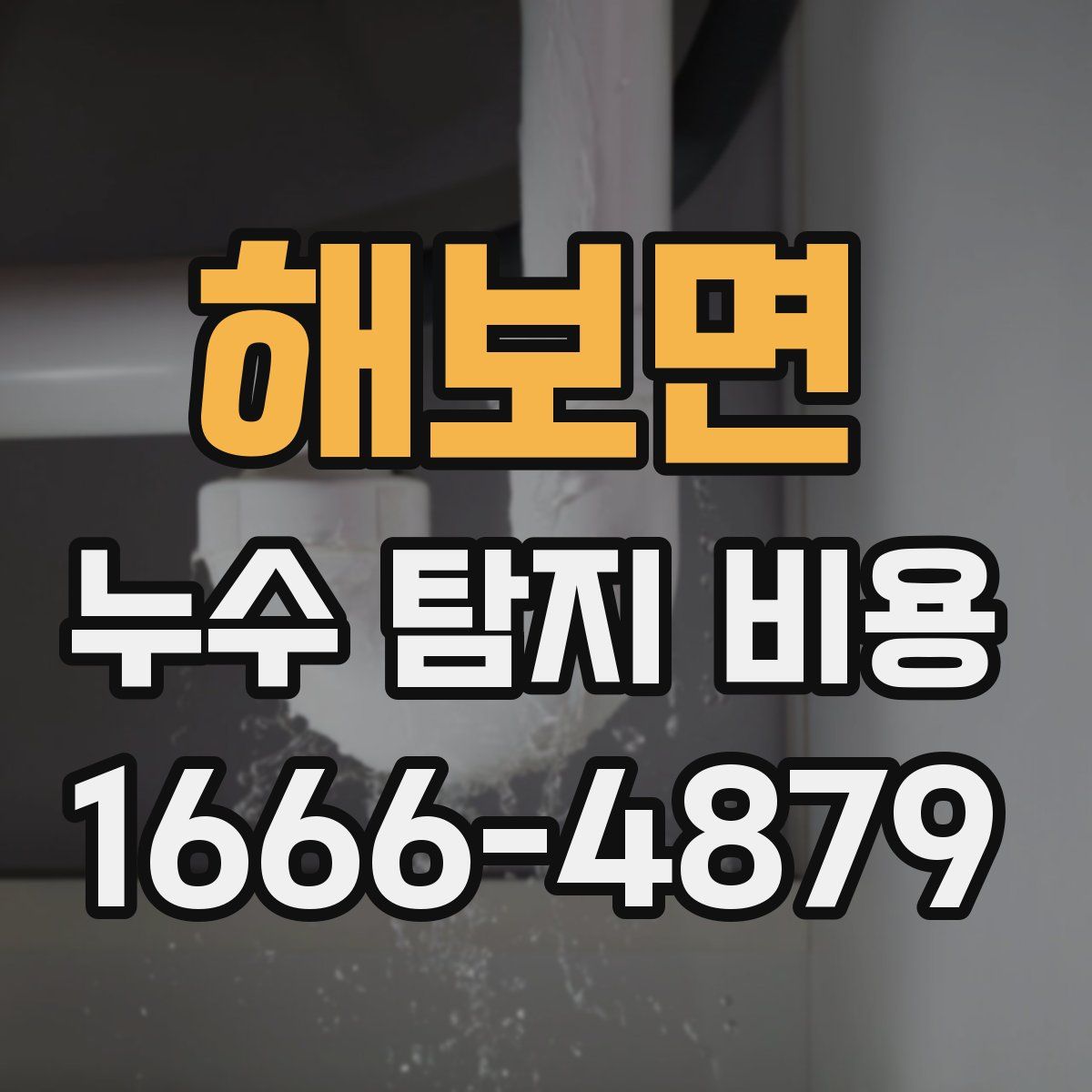 해보면 누수 탐지 비용