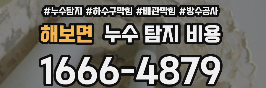 해보면 누수 탐지 비용