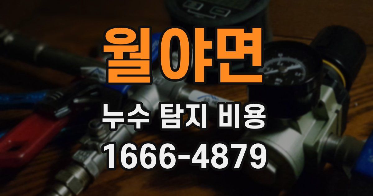 월야면 누수 탐지 비용