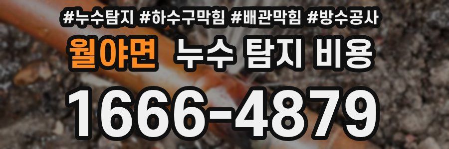 월야면 누수 탐지 비용