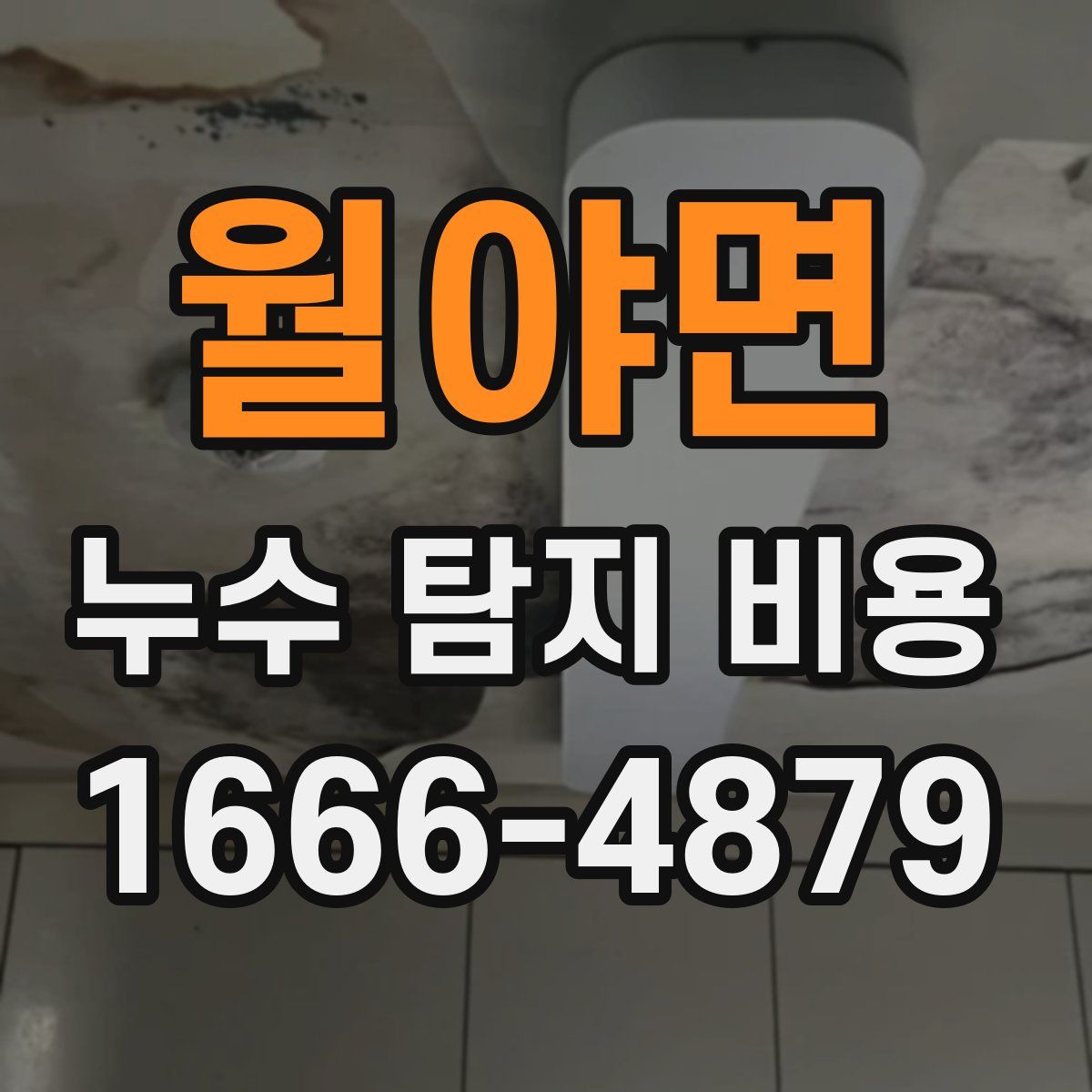 월야면 누수 탐지 비용