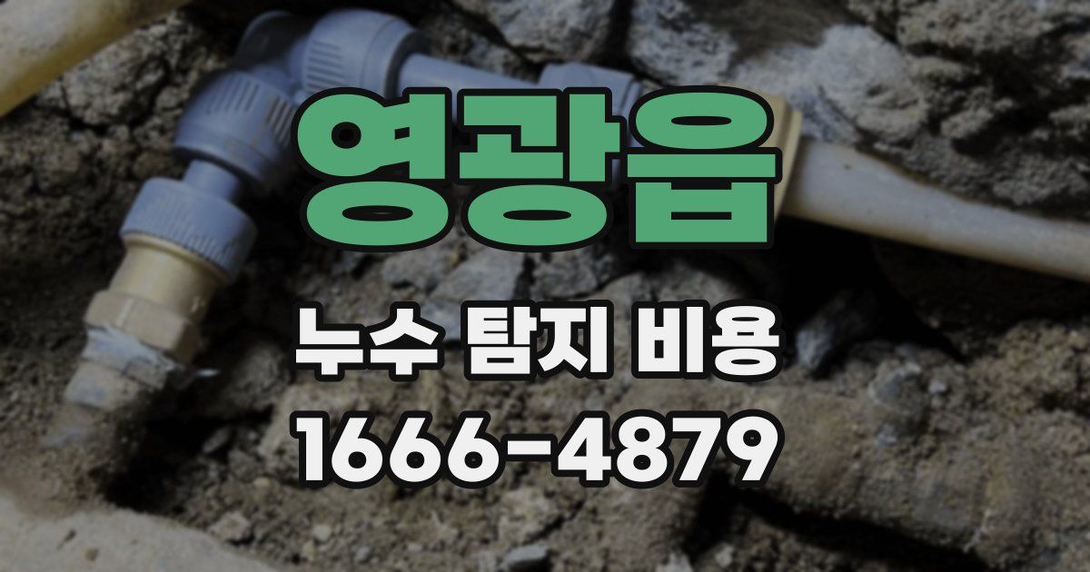 영광읍 누수 탐지 비용