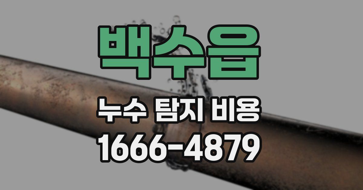 백수읍 누수 탐지 비용
