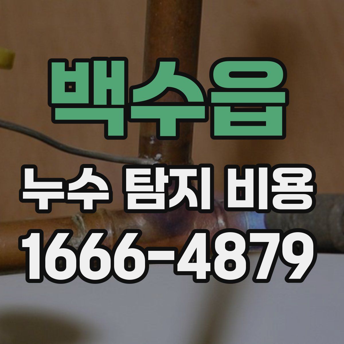 백수읍 누수 탐지 비용