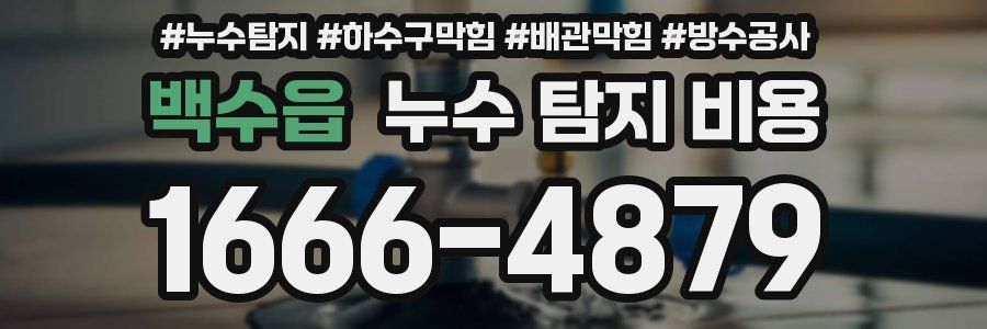 백수읍 누수 탐지 비용