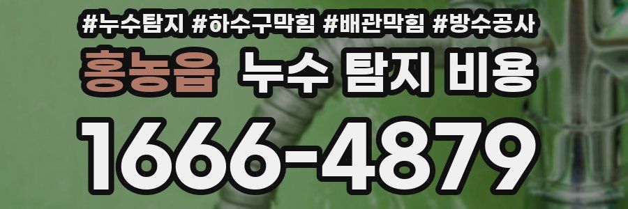 홍농읍 누수 탐지 비용